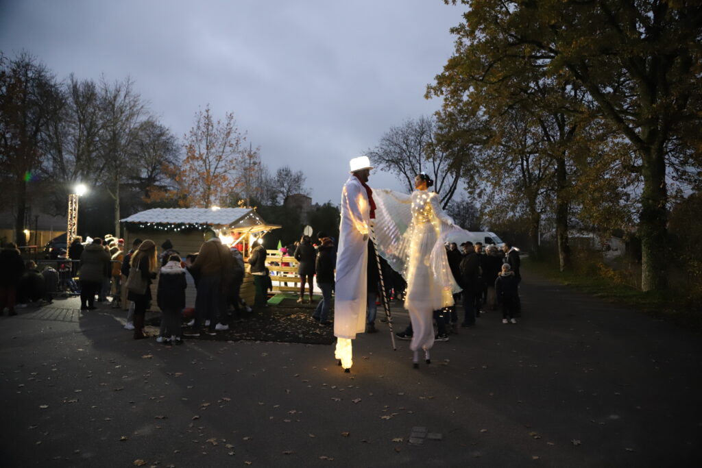 échassiers blancs Lumineux