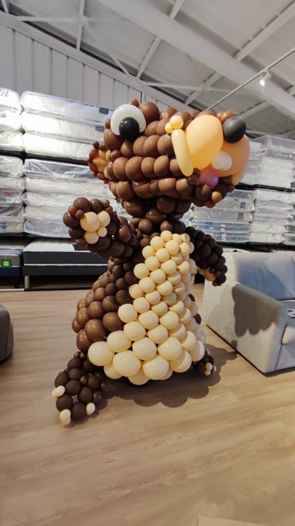 Marmotte Ballons