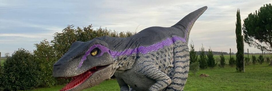 Dinosaure Déambulation