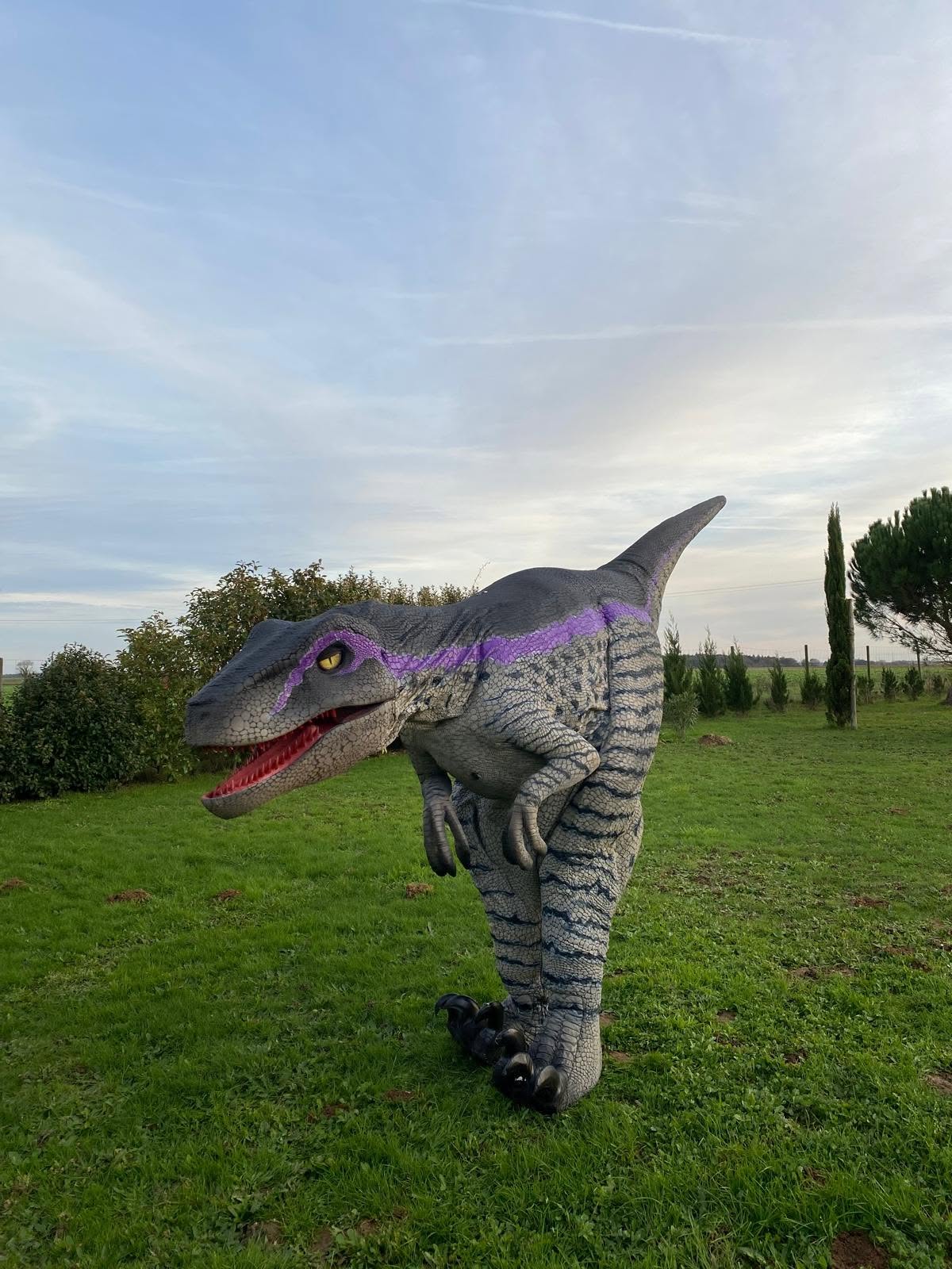 Dinosaure Déambulation